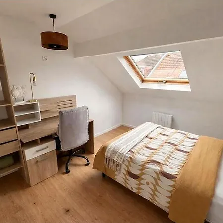Duplex Luxueux / Privee / Parking Prive Amiens