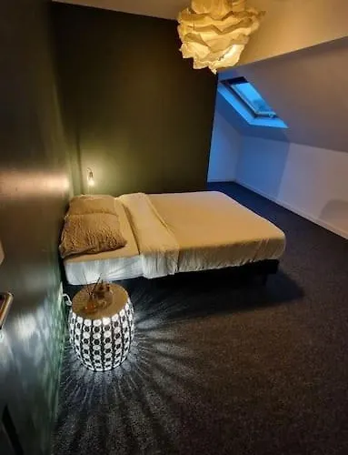 公寓 Duplex Luxueux / Privee / Parking Prive