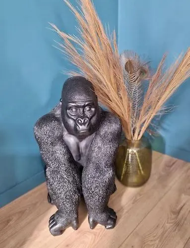 Duplex Luxueux / Privee / Parking Prive * 阿棉